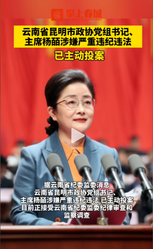 昆明市政協黨組書記、主席楊皕，主動投案